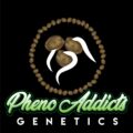 Pheno Addicts Genetics - Beverly Hillz