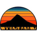 Wyeast - 4Chata (FEMS)