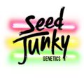 Sour Octane x SJG OG by Seed Junky Genetics (Regular seeds)