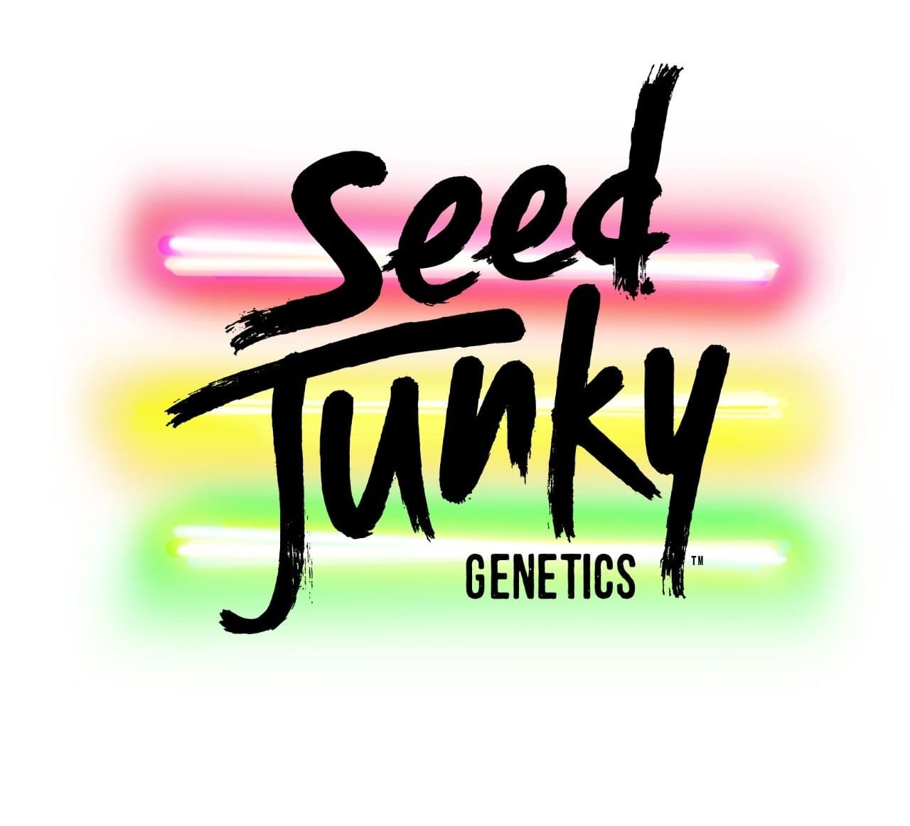 Sour Octane x SJG OG by Seed Junky Genetics (Regular seeds)