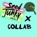 Cap Junky