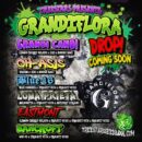Grandiflora Genetics - Oh-Asis
